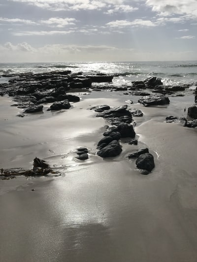 黑色的岩石海岸白天
